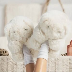 Fluffy White Skims Teddy Bear Slippers A